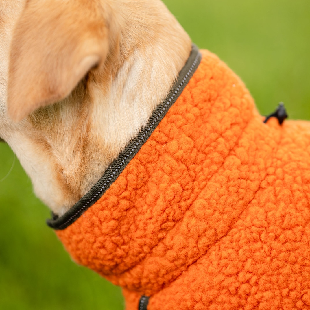 Hundedekken Dolly traxx®