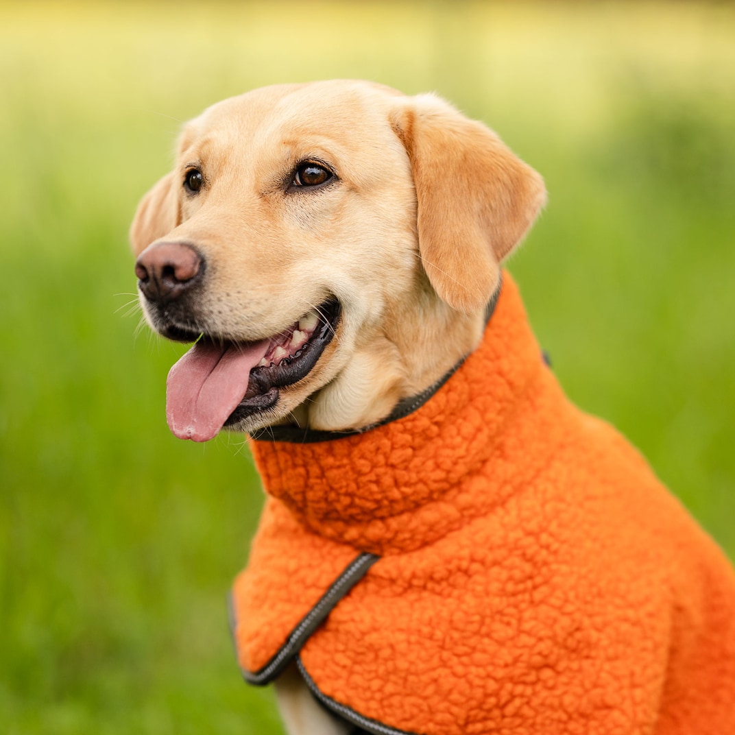 Hundedekken Dolly traxx®