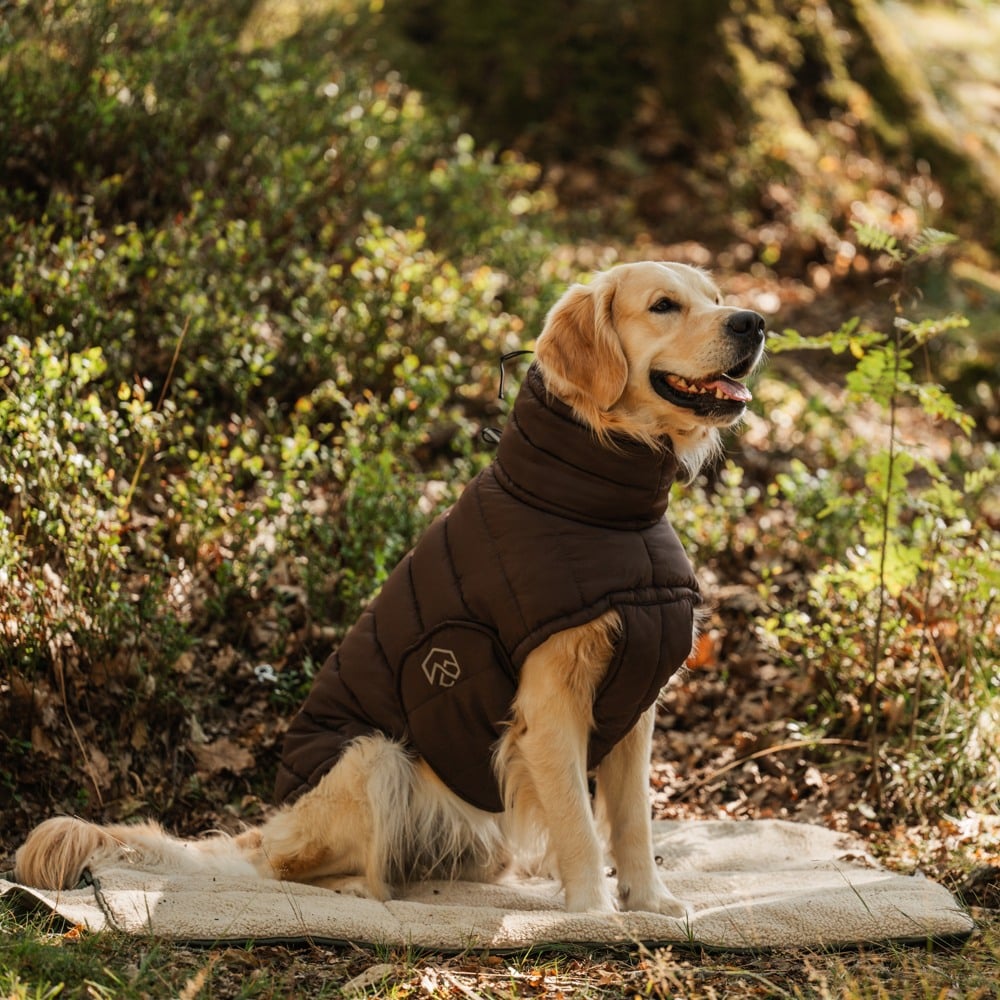 Hundedekken Loco Puffer traxx®