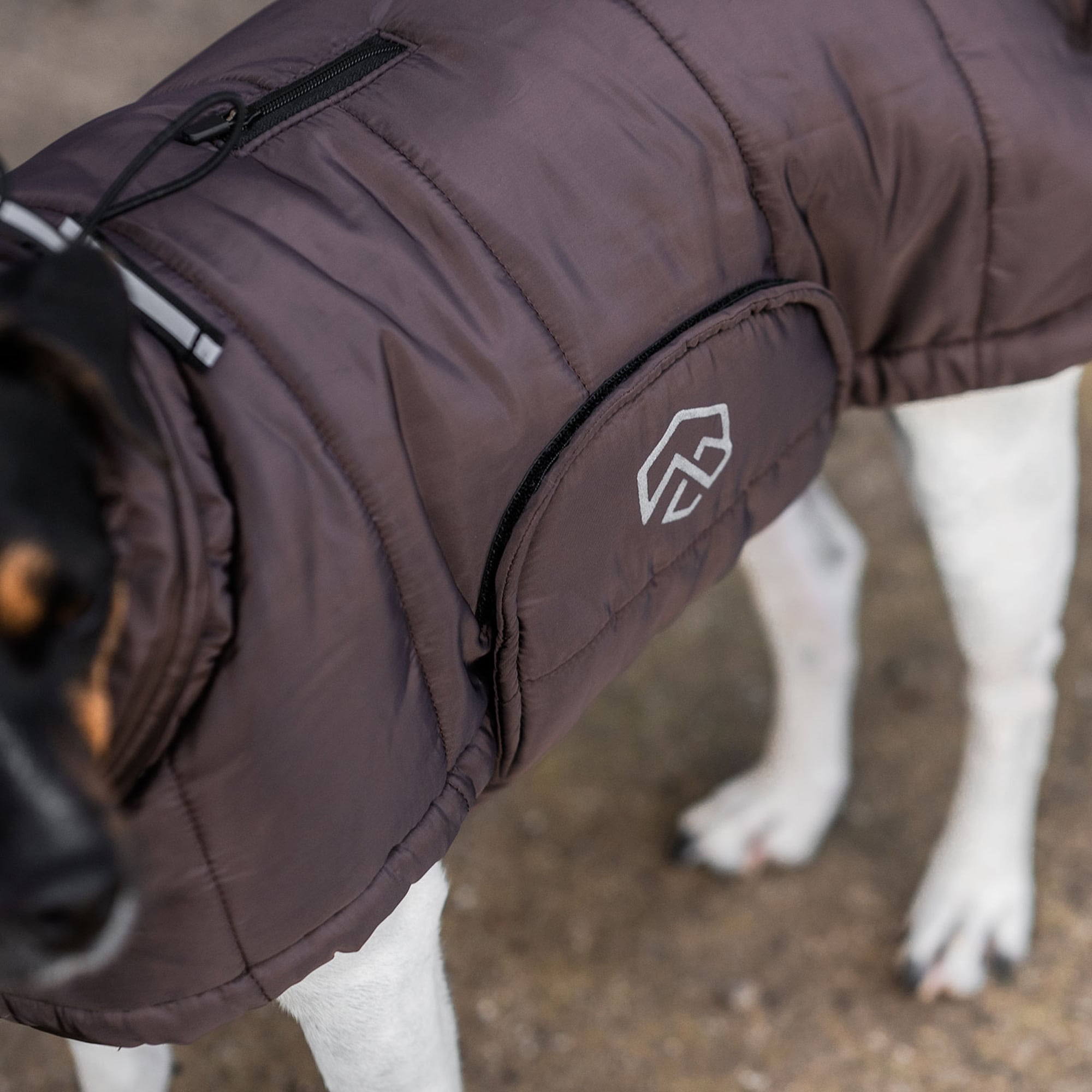 Hundedekken Loco Puffer traxx®