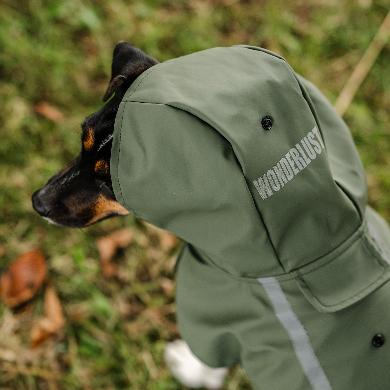 Regndekken Hund Archy traxx®