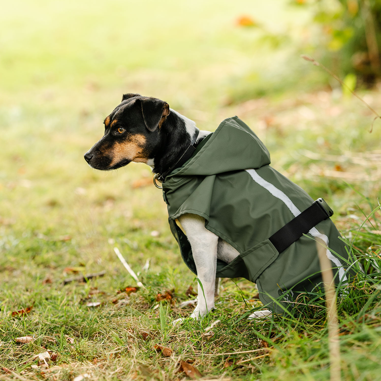 Regndekken Hund Archy traxx®
