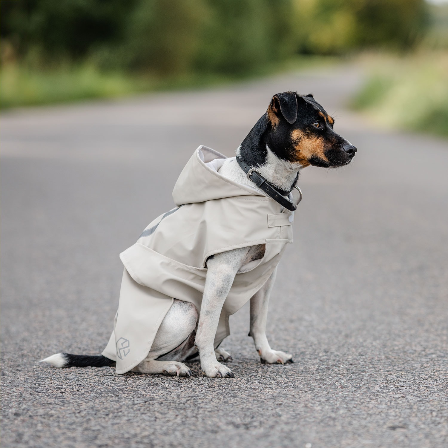 Regndekken Hund Archy traxx®