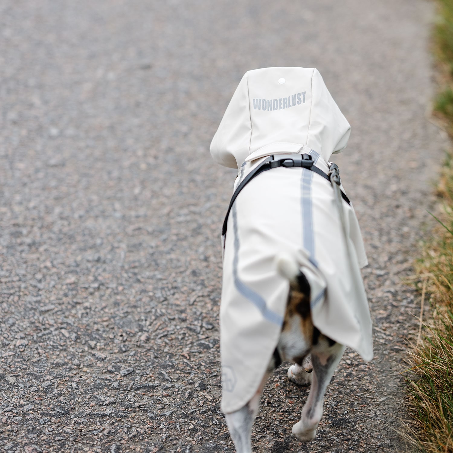 Regndekken Hund Archy traxx®