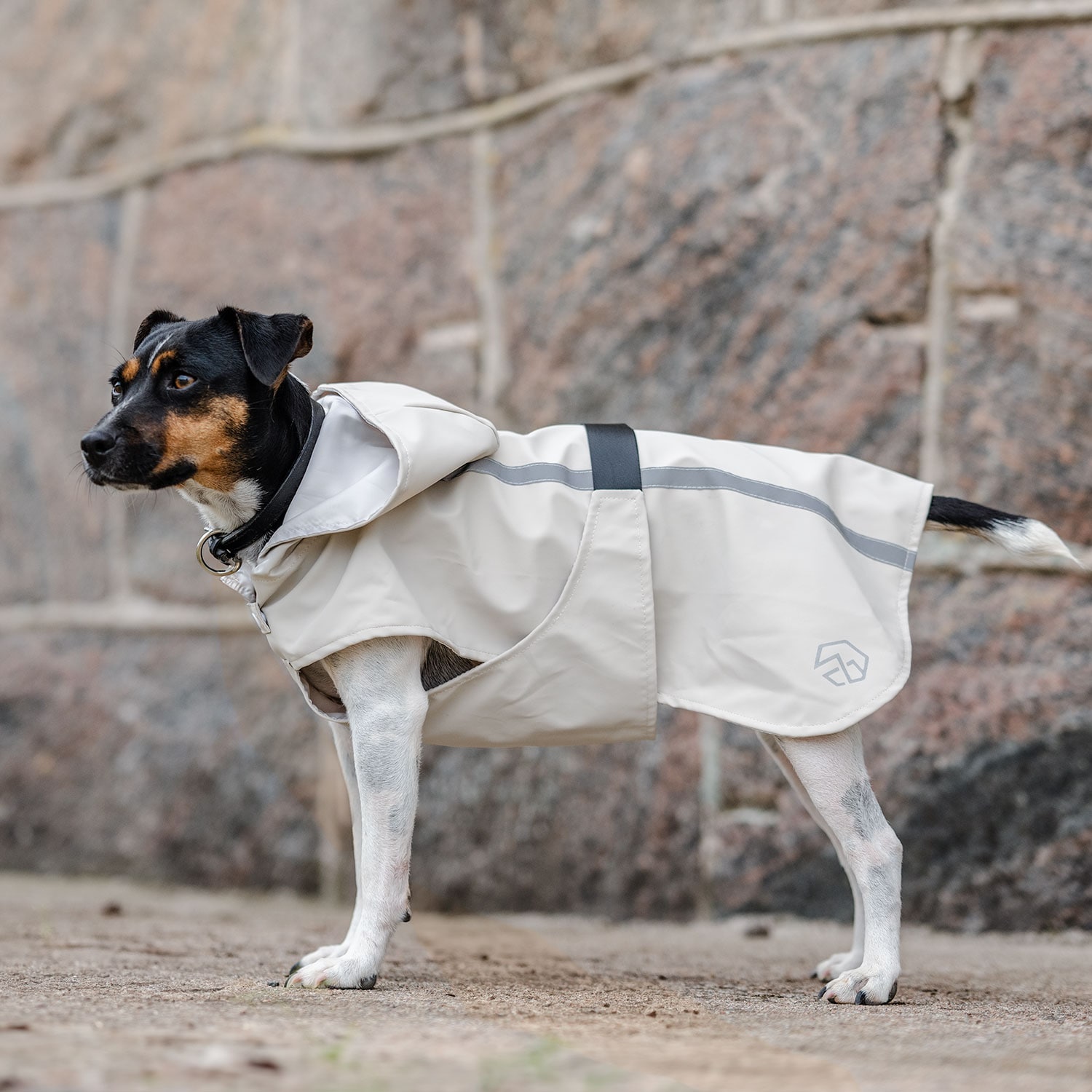 Regndekken Hund Archy traxx®