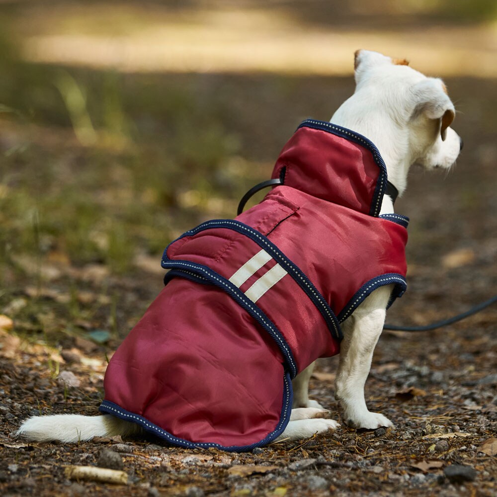 Hundedekken  Svalbard traxx®