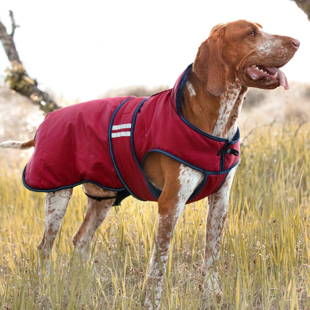 Hundedekken  Svalbard traxx®
