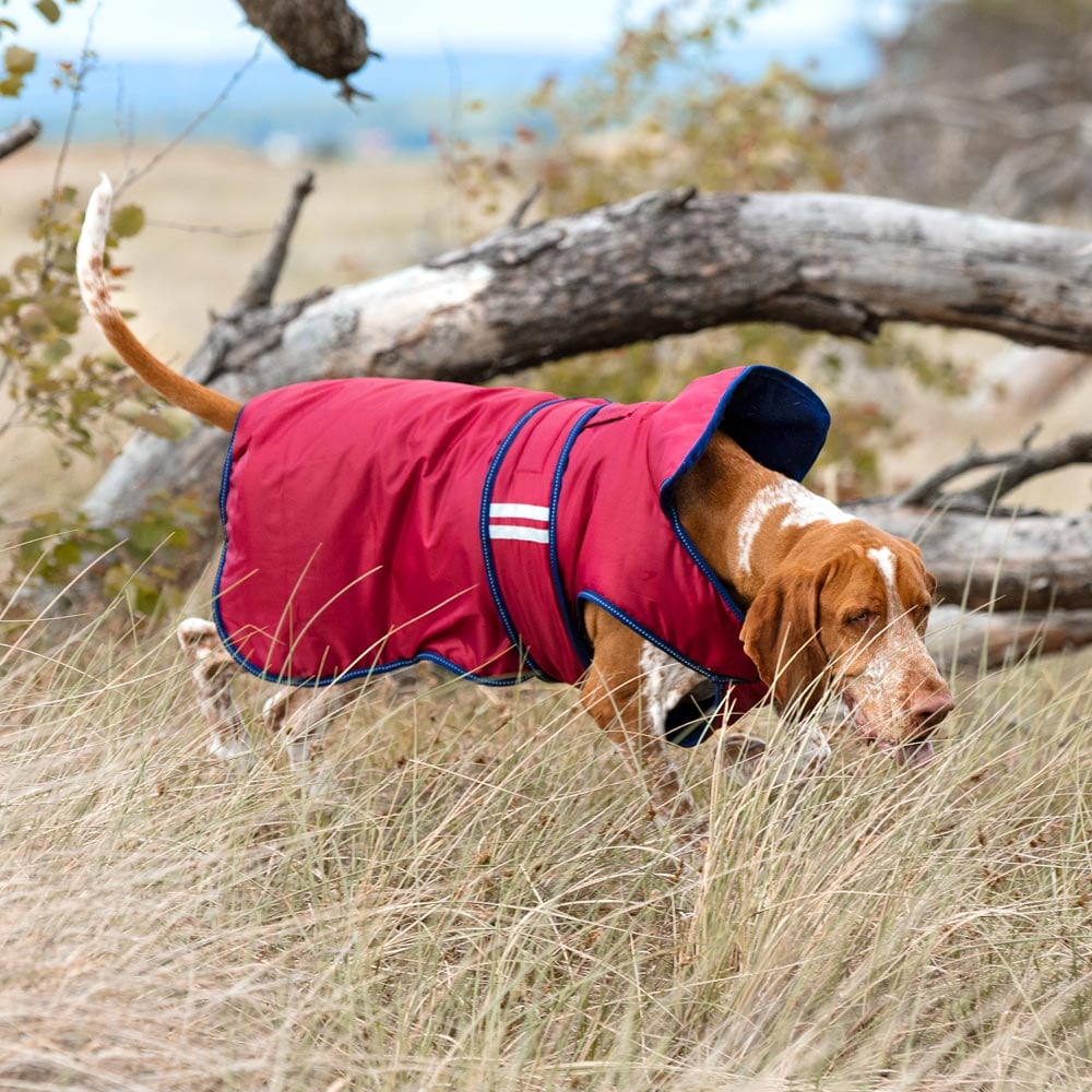 Hundedekken  Svalbard traxx®