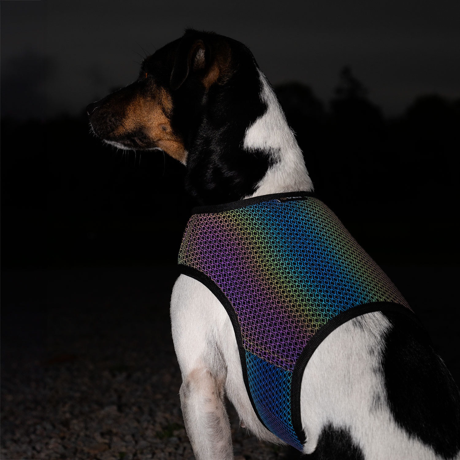 Refleksvest Hund Farid traxx®
