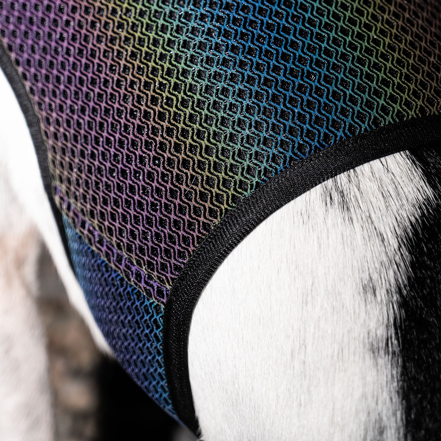 Refleksvest Hund Farid traxx®