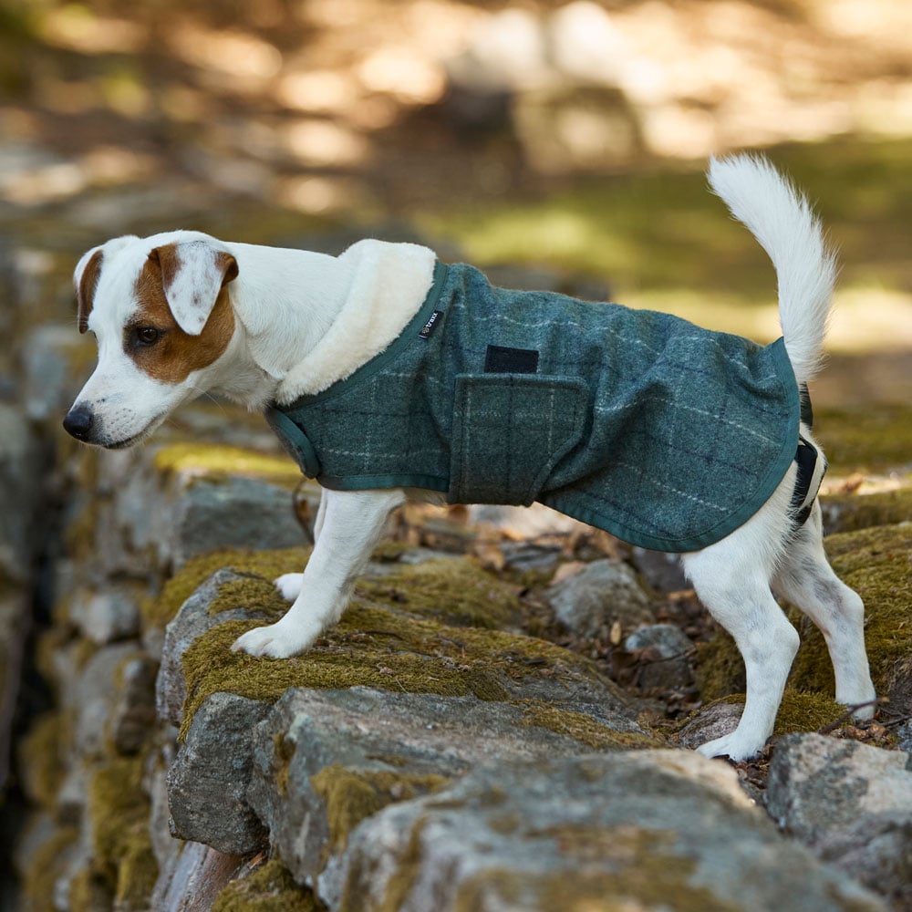 Hundedekken  Hawick traxx®