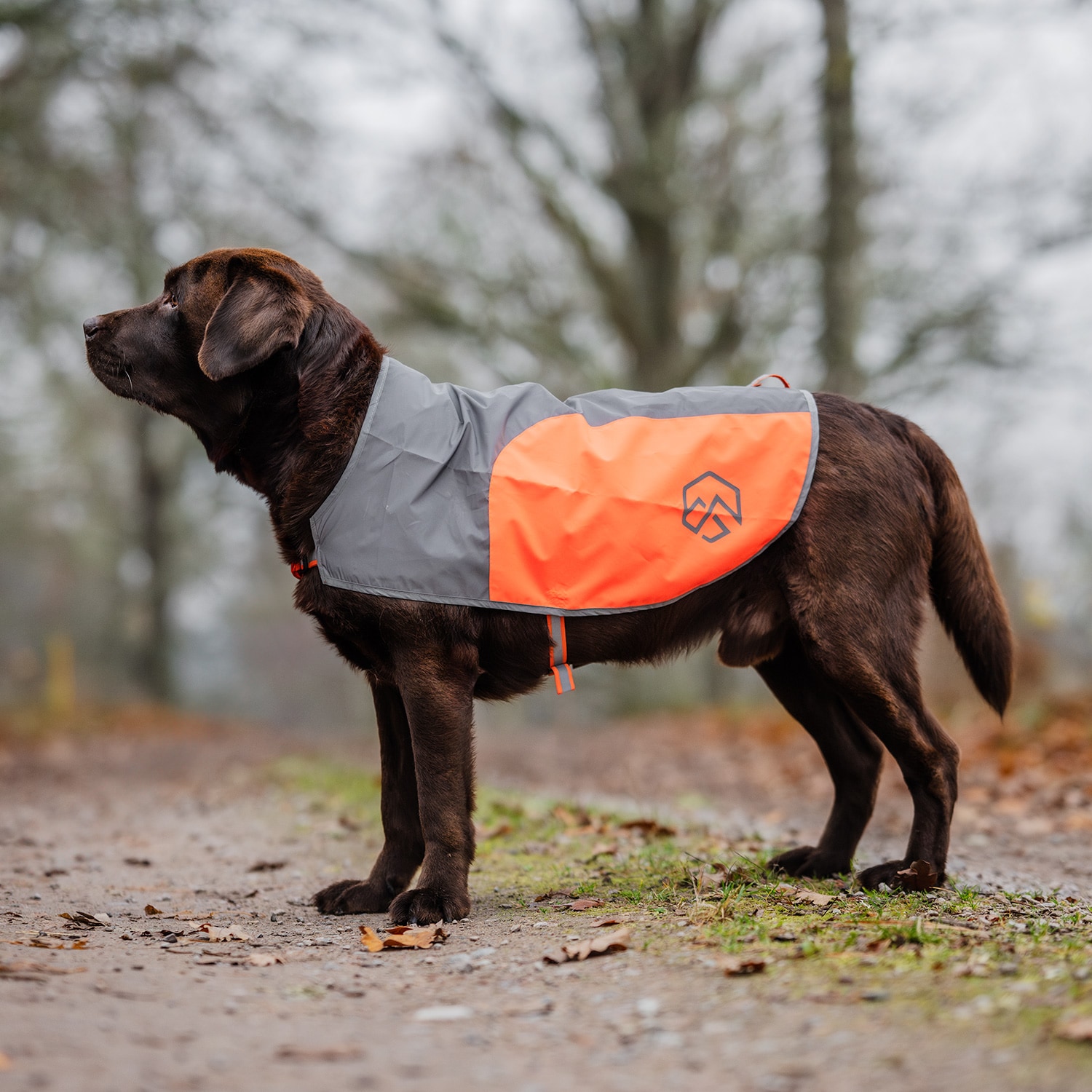 Refleksvest Hund Ringo traxx®