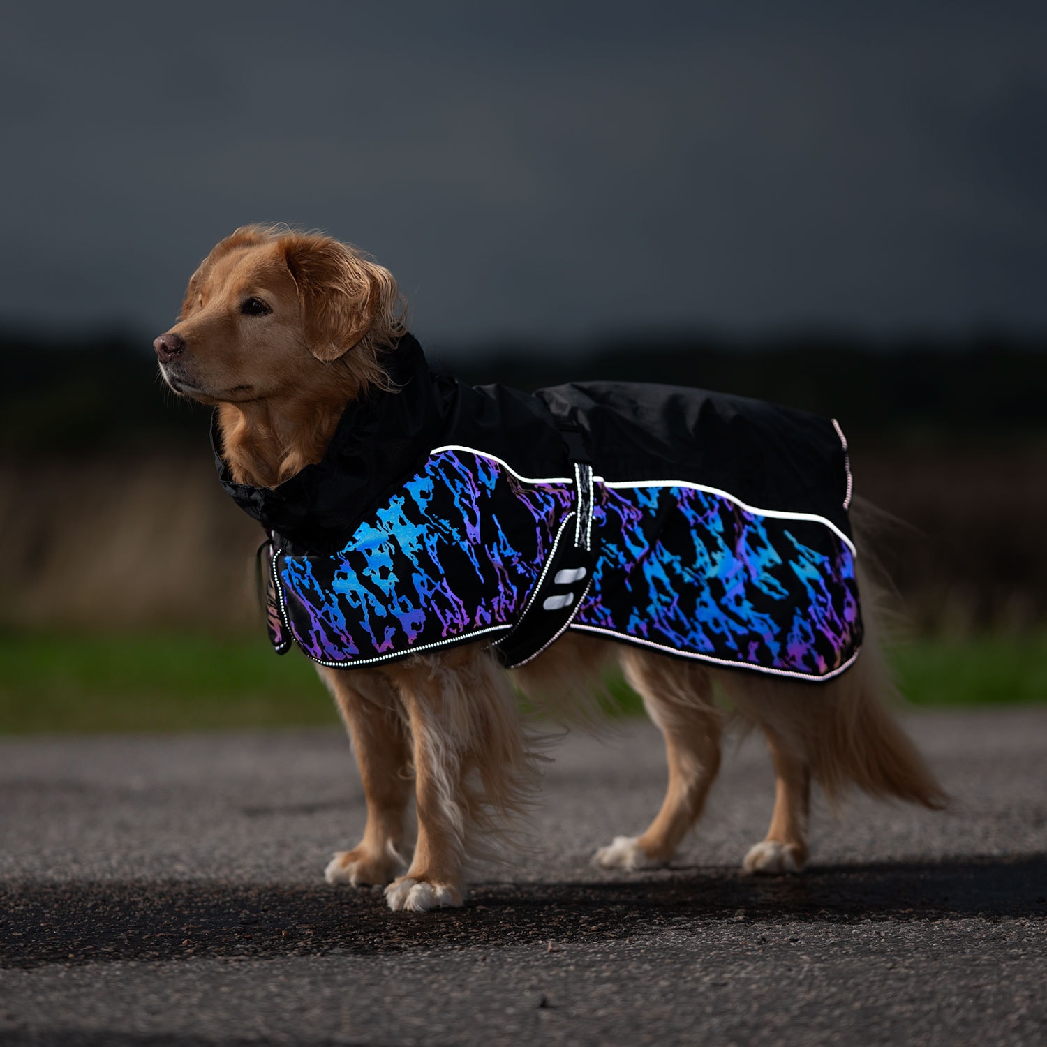 Hundedekken Lexi traxx®
