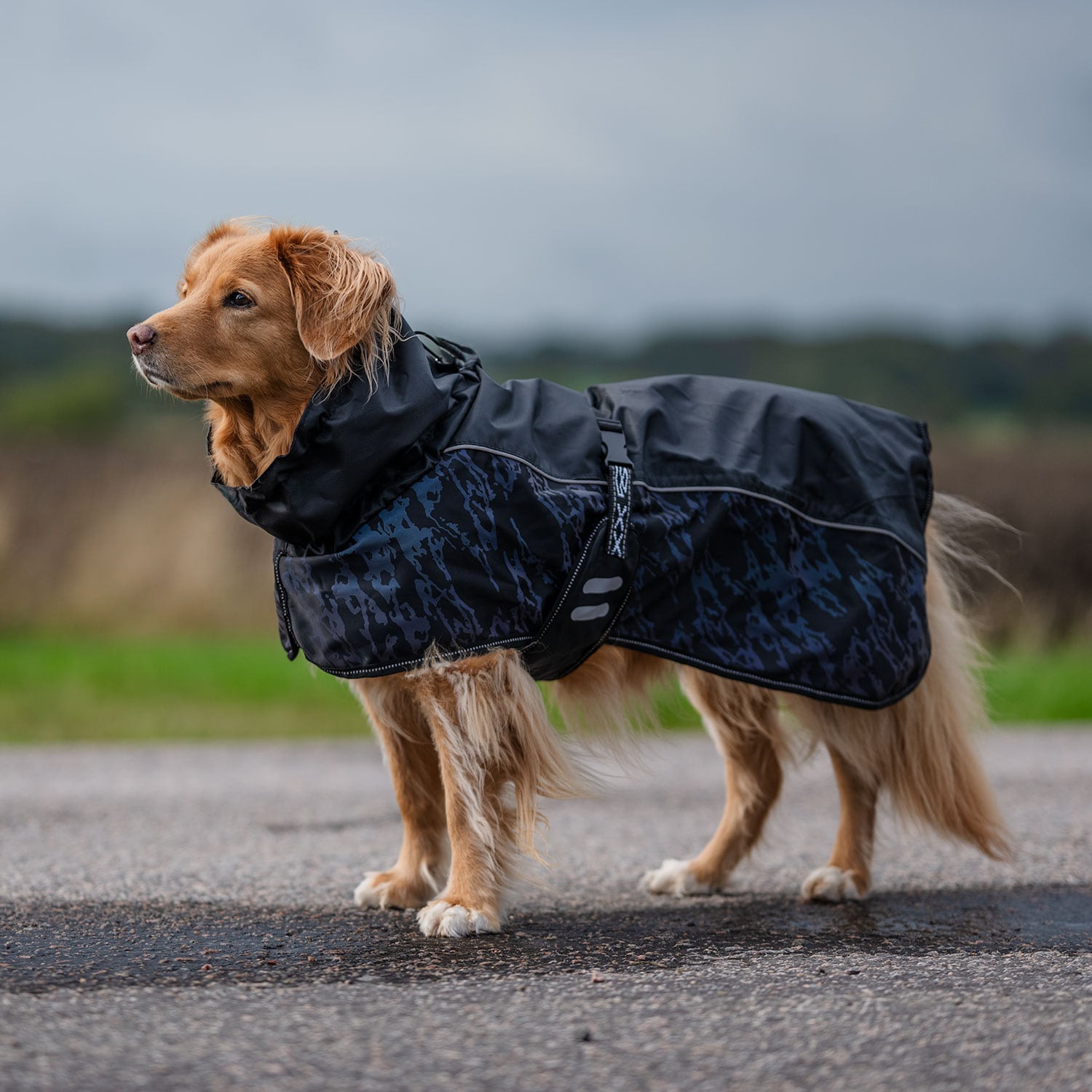 Hundedekken Lexi traxx®