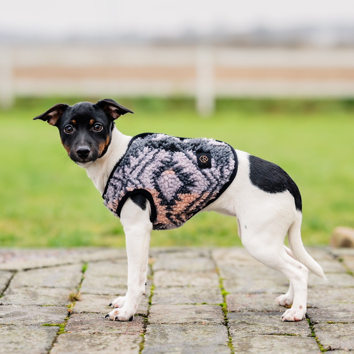 Hundedekken Fleece Sinclair traxx®