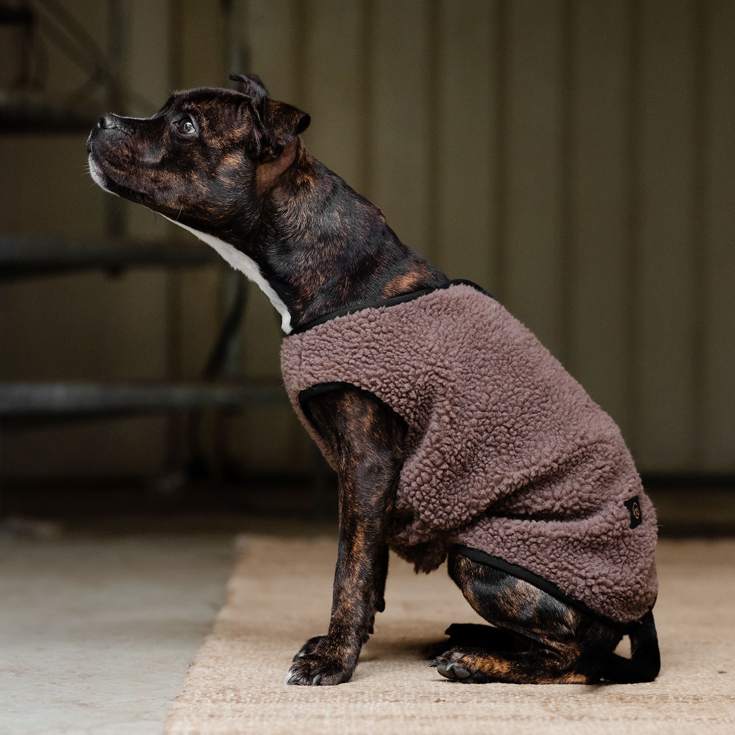 Hundedekken Fleece Sinclair traxx®