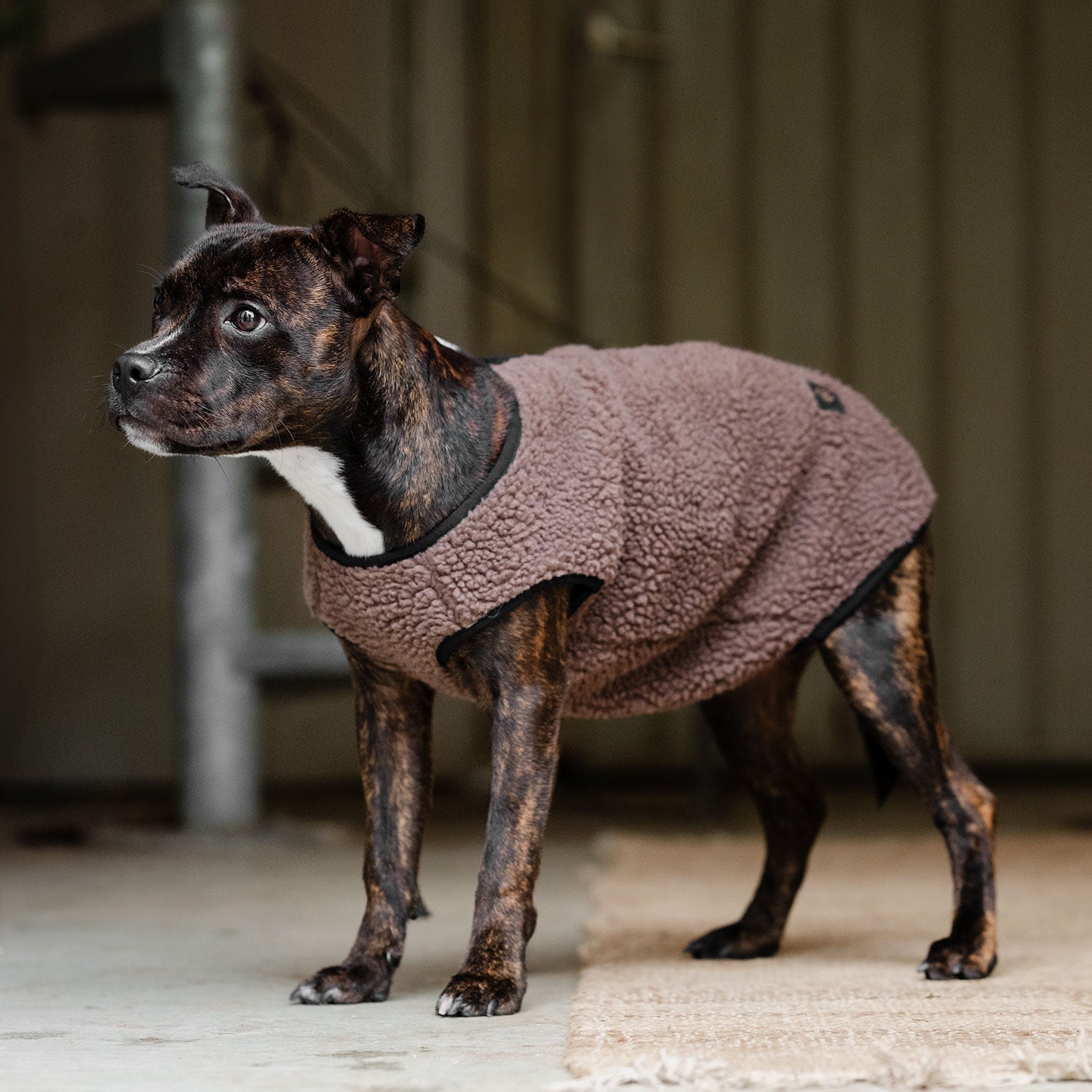 Hundedekken Fleece Sinclair traxx®