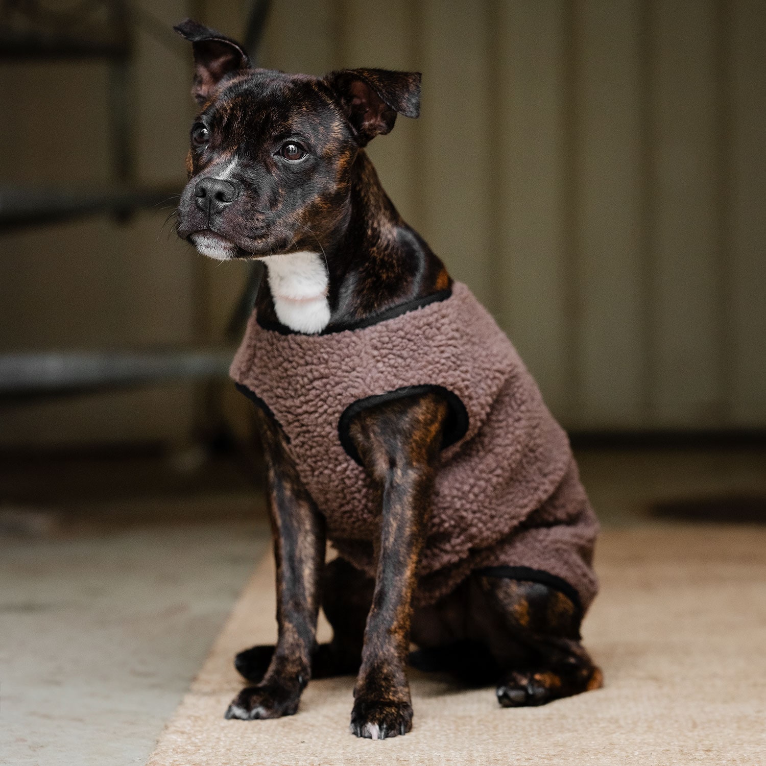 Hundedekken Fleece Sinclair traxx®