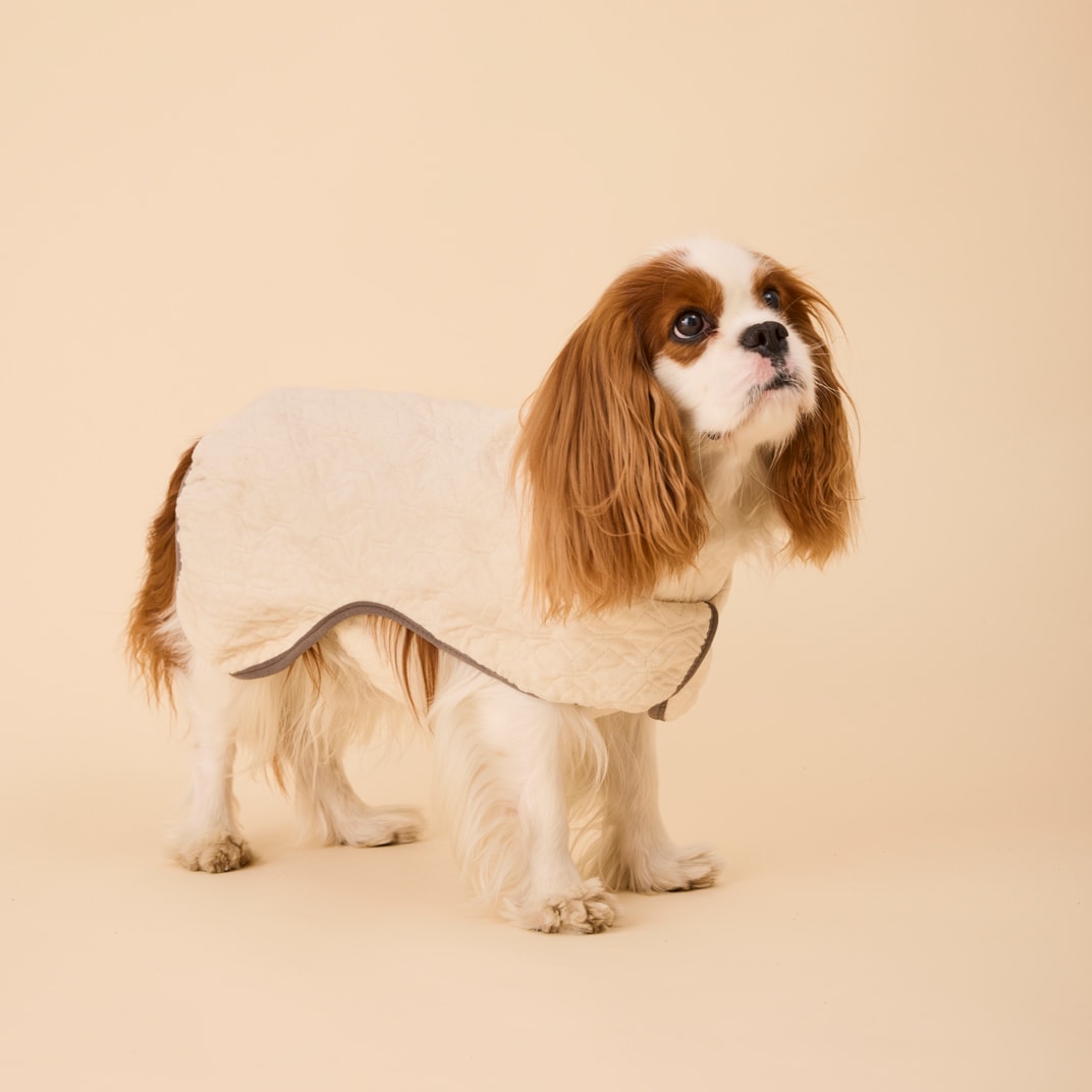 Hundedekken Carter Dry traxx®