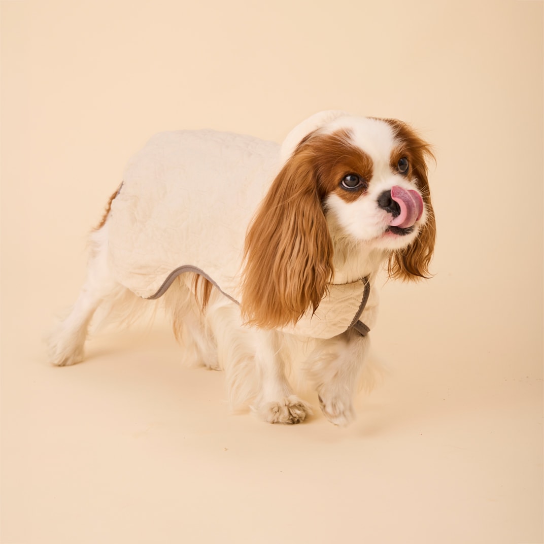 Hundedekken Carter Dry traxx®