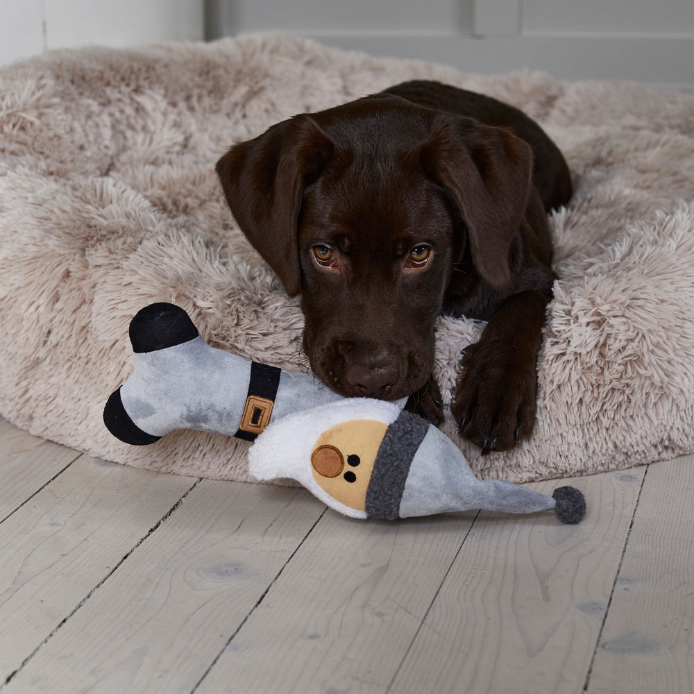 Hundeleke Sten traxx®