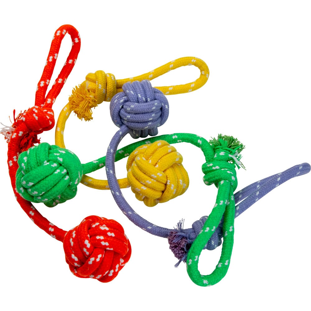 Hundeleke Rover traxx®