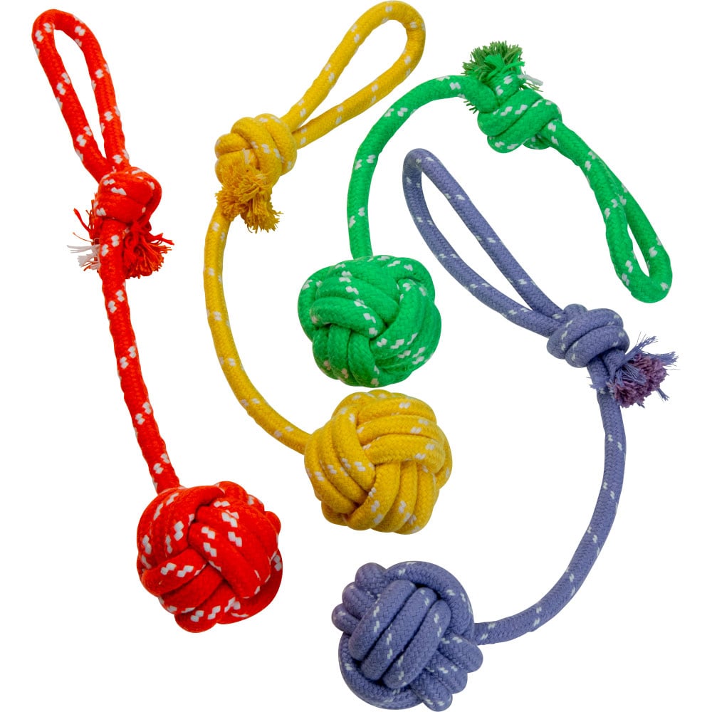 Hundeleke Rover traxx®