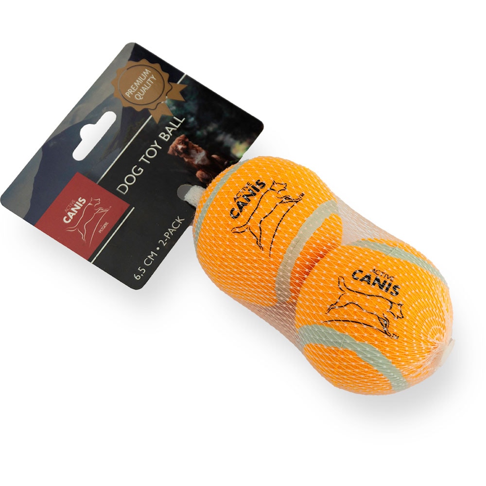 Tennisball  2-pack Active Canis