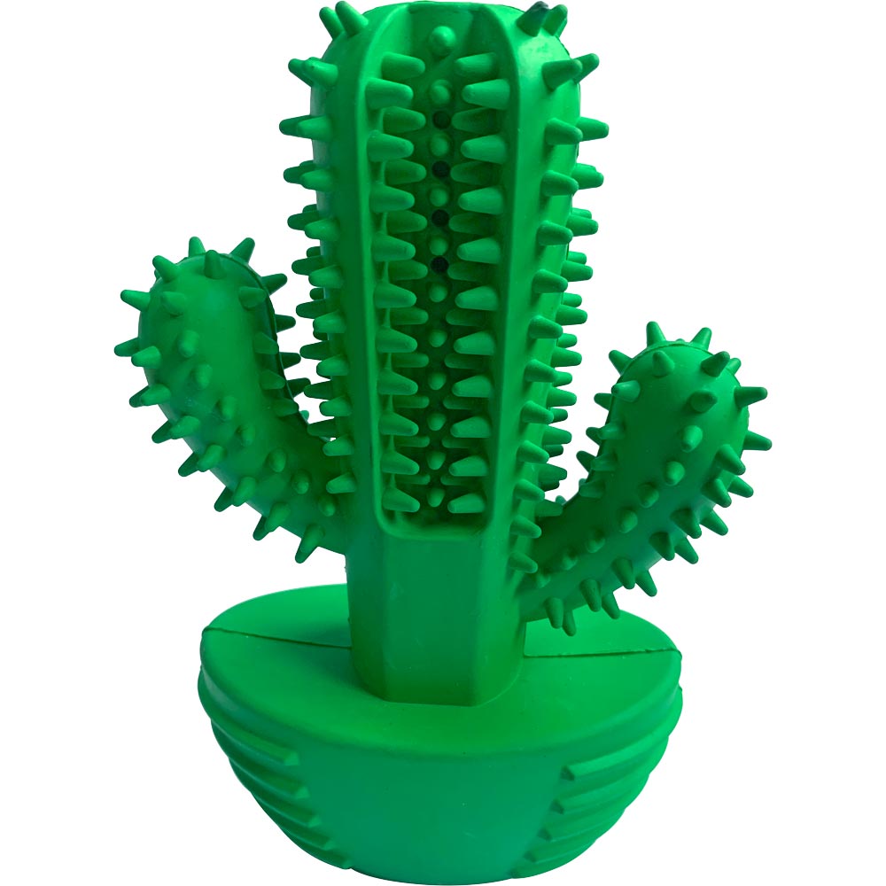 Hundeleke  Cactus Kayoba