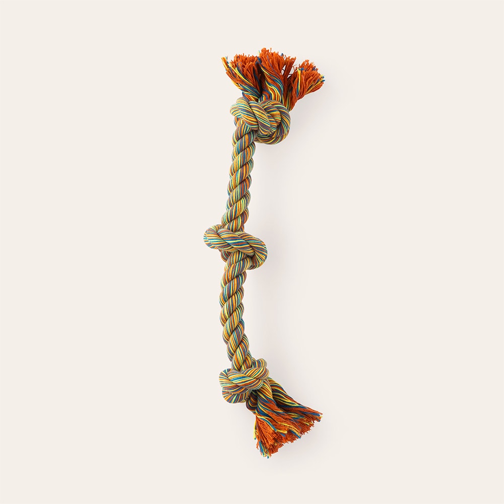 Hundeleke  Traxx Kadi Dogtoy traxx®