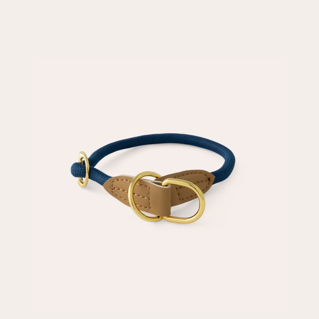 Halsbånd Hund April traxx®