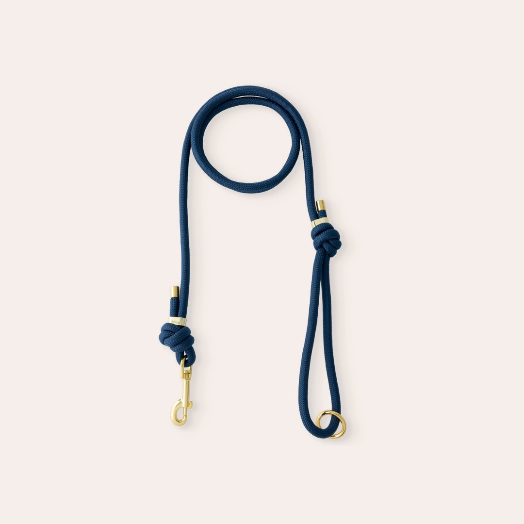 Kobbel Hund April traxx®