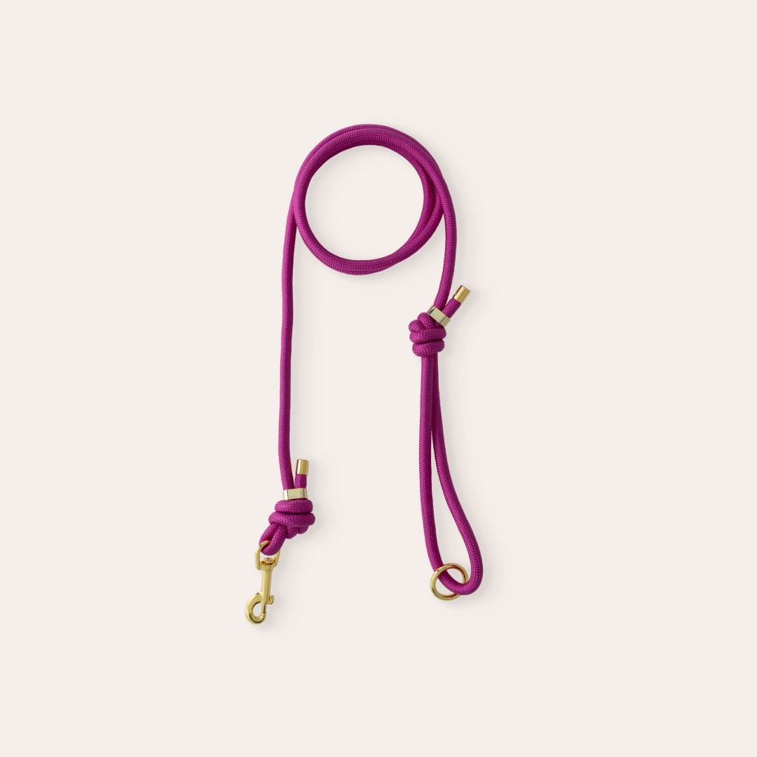 Kobbel Hund April traxx®