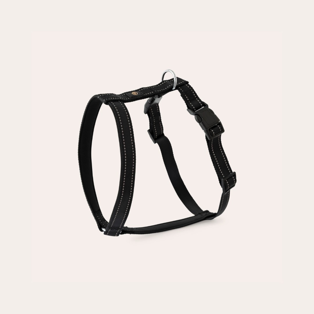 Y-sele Base 2.0 traxx®