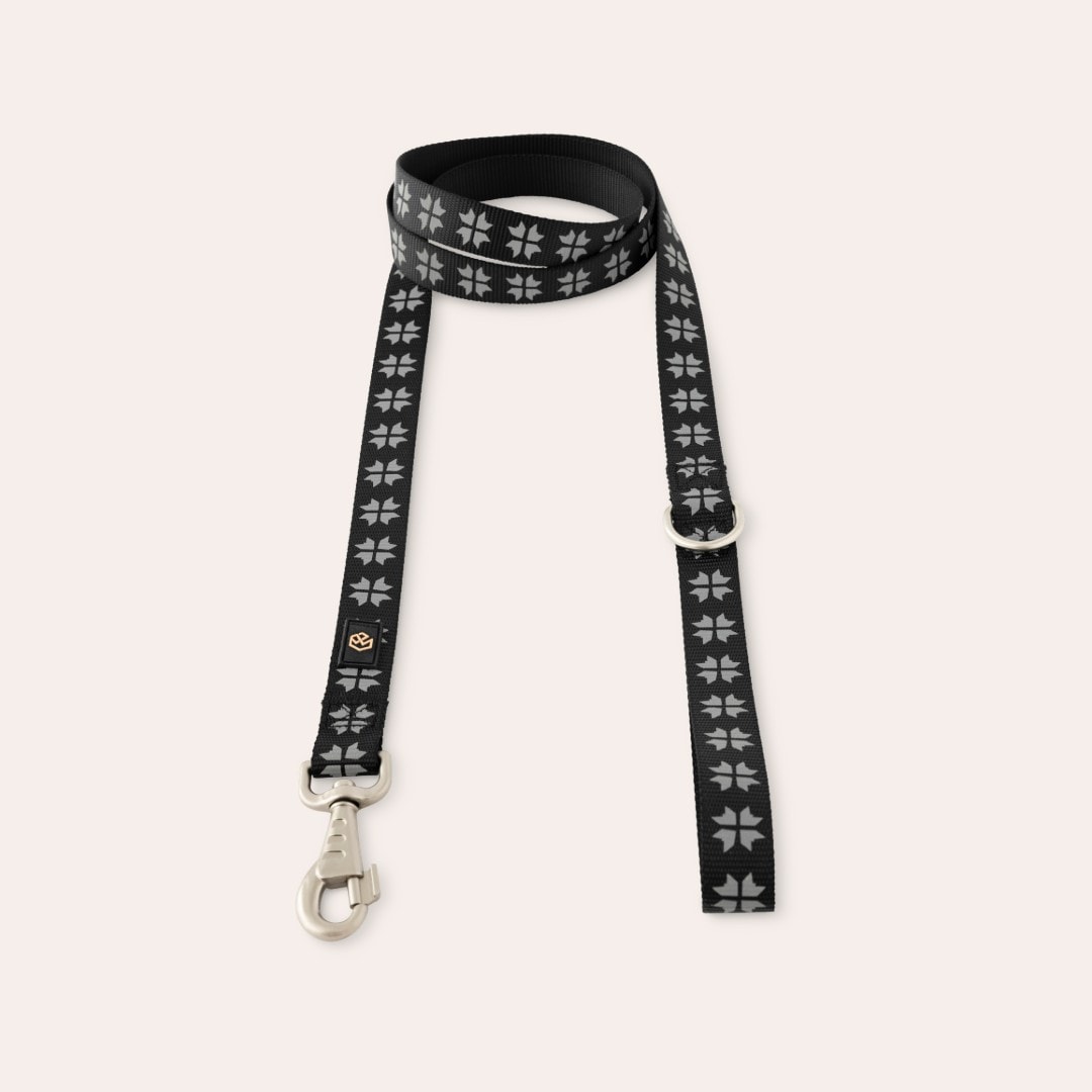 Reflekskobbel Hund Kelso traxx®
