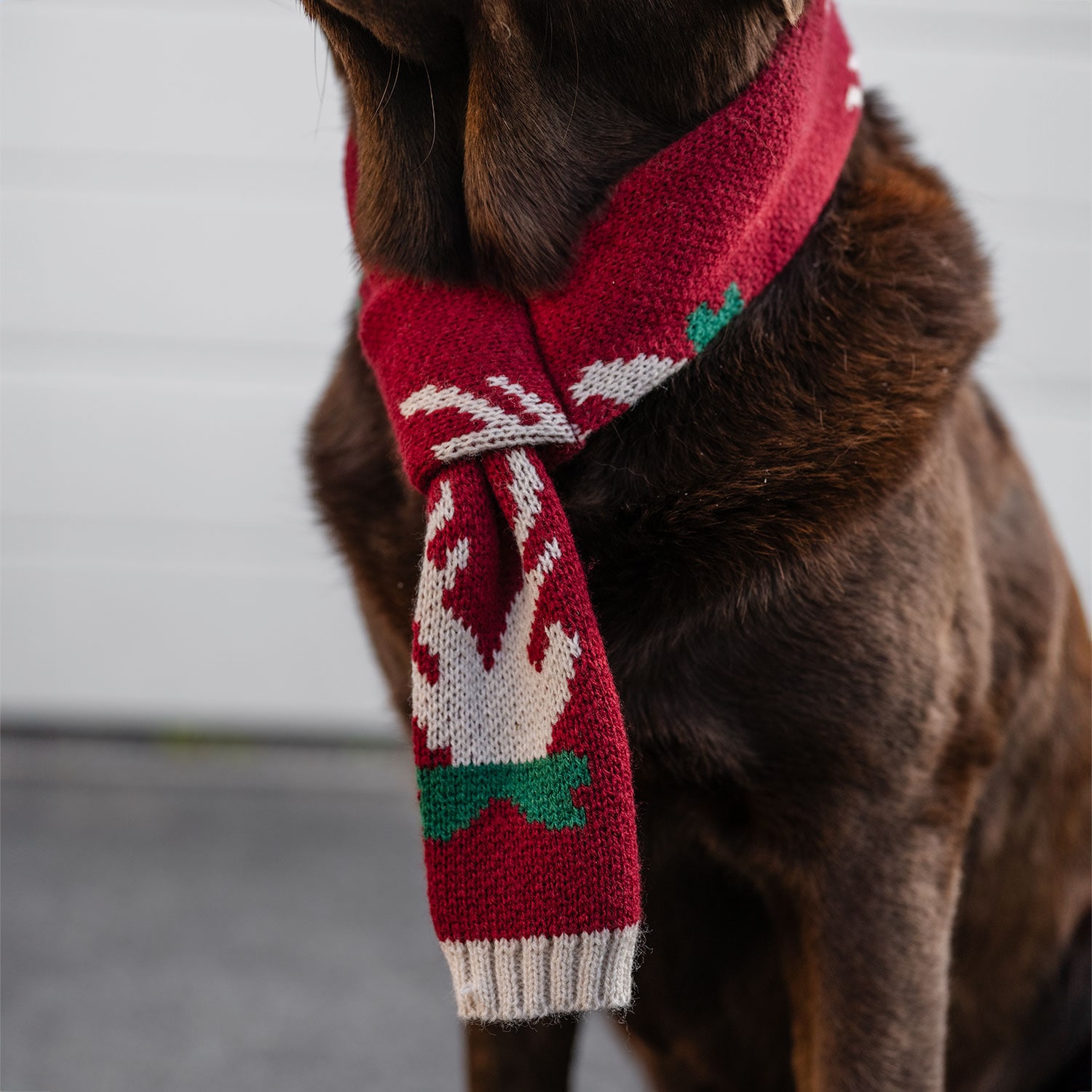 Hals Hund Christmas traxx®