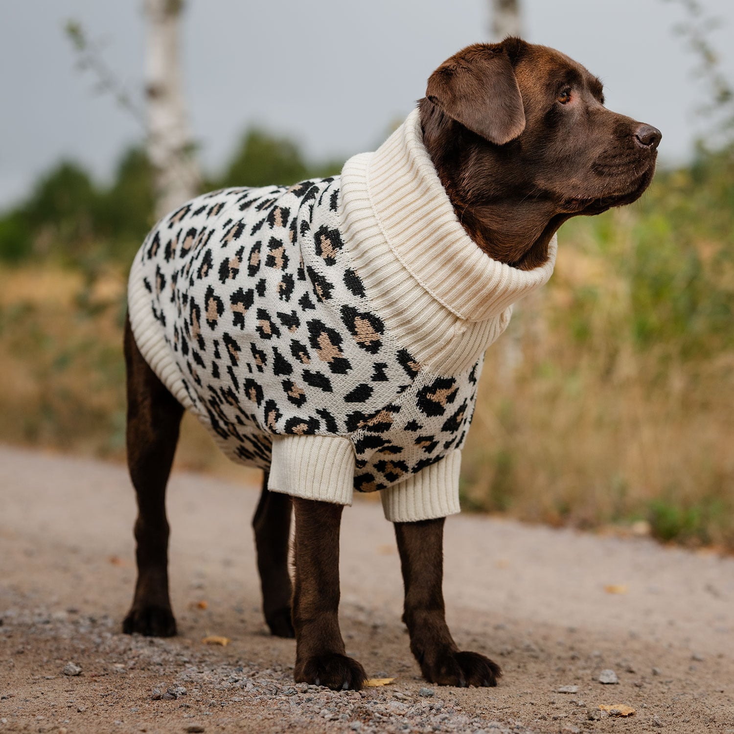 Hundegenser  Leo traxx®