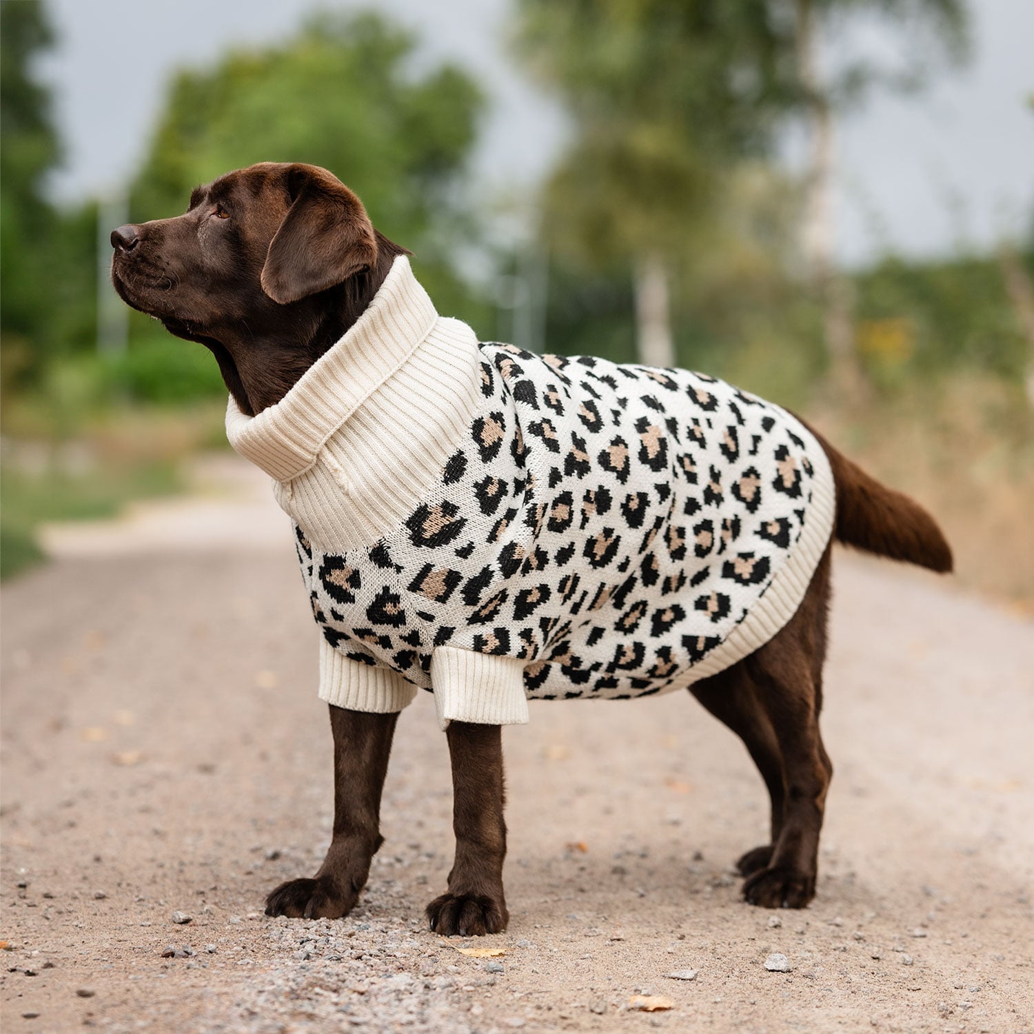 Hundegenser  Leo traxx®