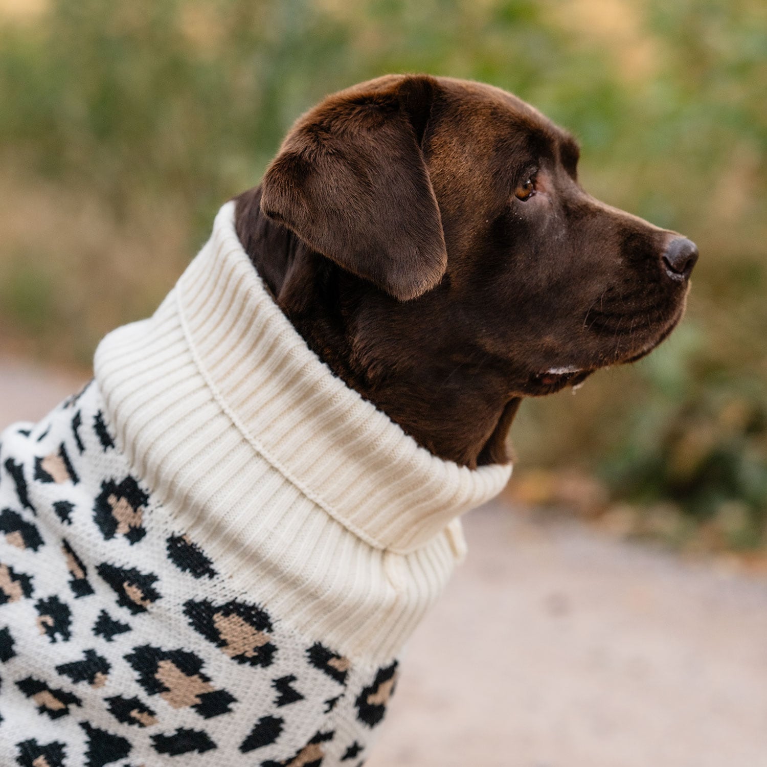 Hundegenser  Leo traxx®