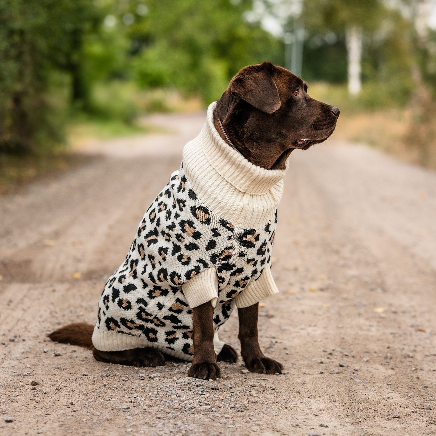 Hundegenser  Leo traxx®