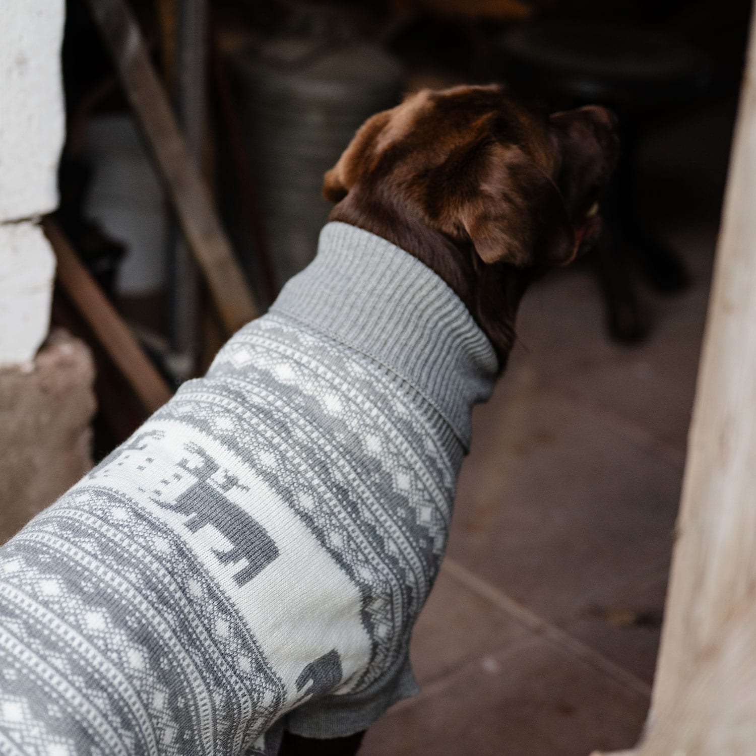 Hundegenser  Deer traxx®