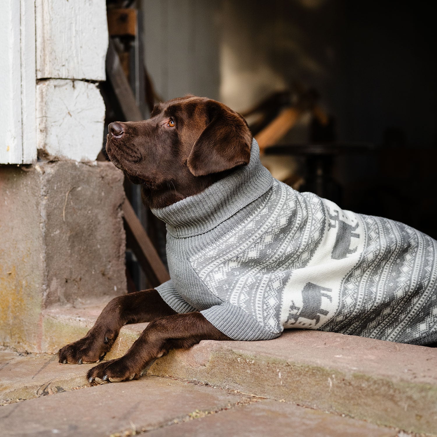 Hundegenser  Deer traxx®