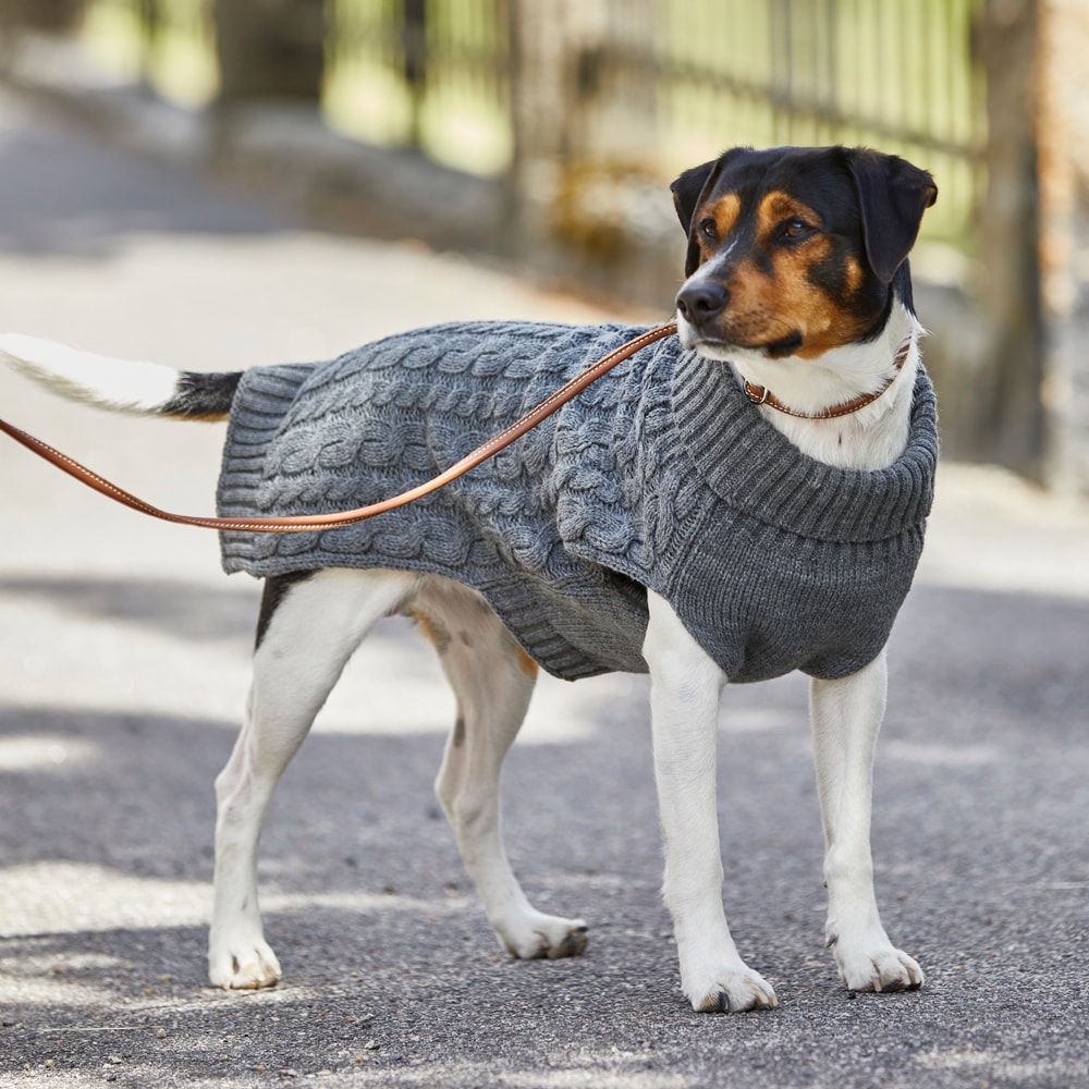 Hundegenser Robin Showmaster®