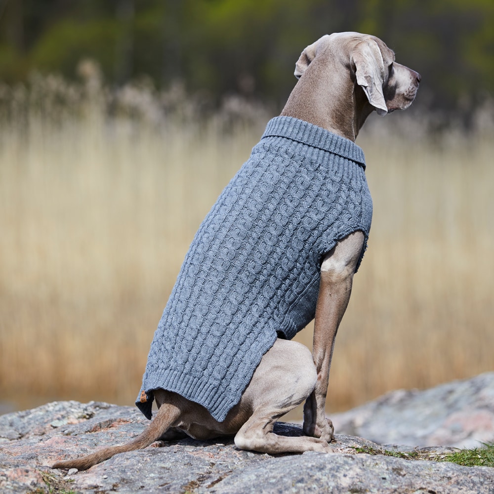 Hundegenser Robin Showmaster®