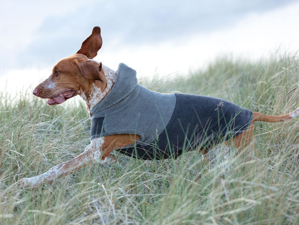 Hundegenser  Balwen traxx®