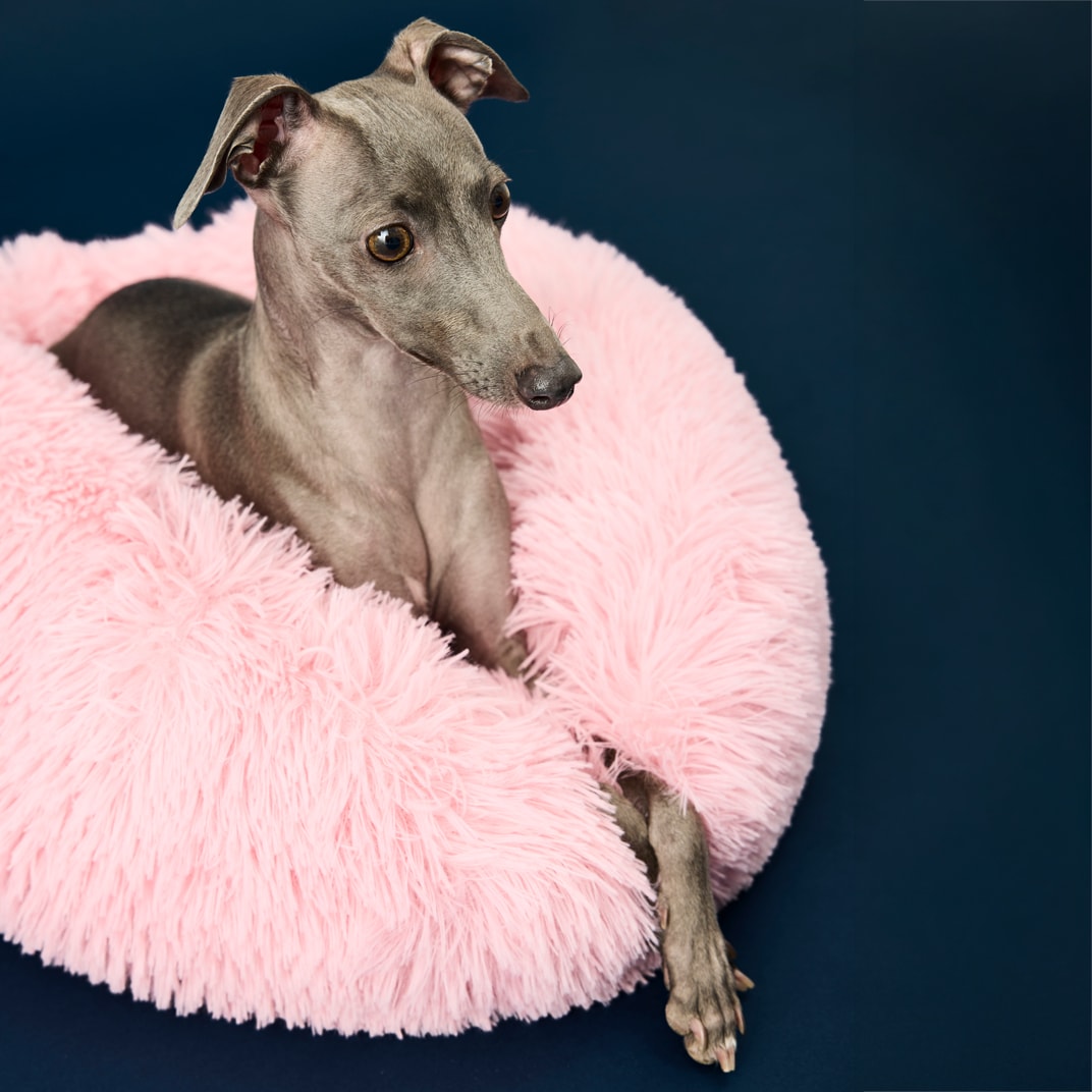 Hundeseng Gizmo traxx®