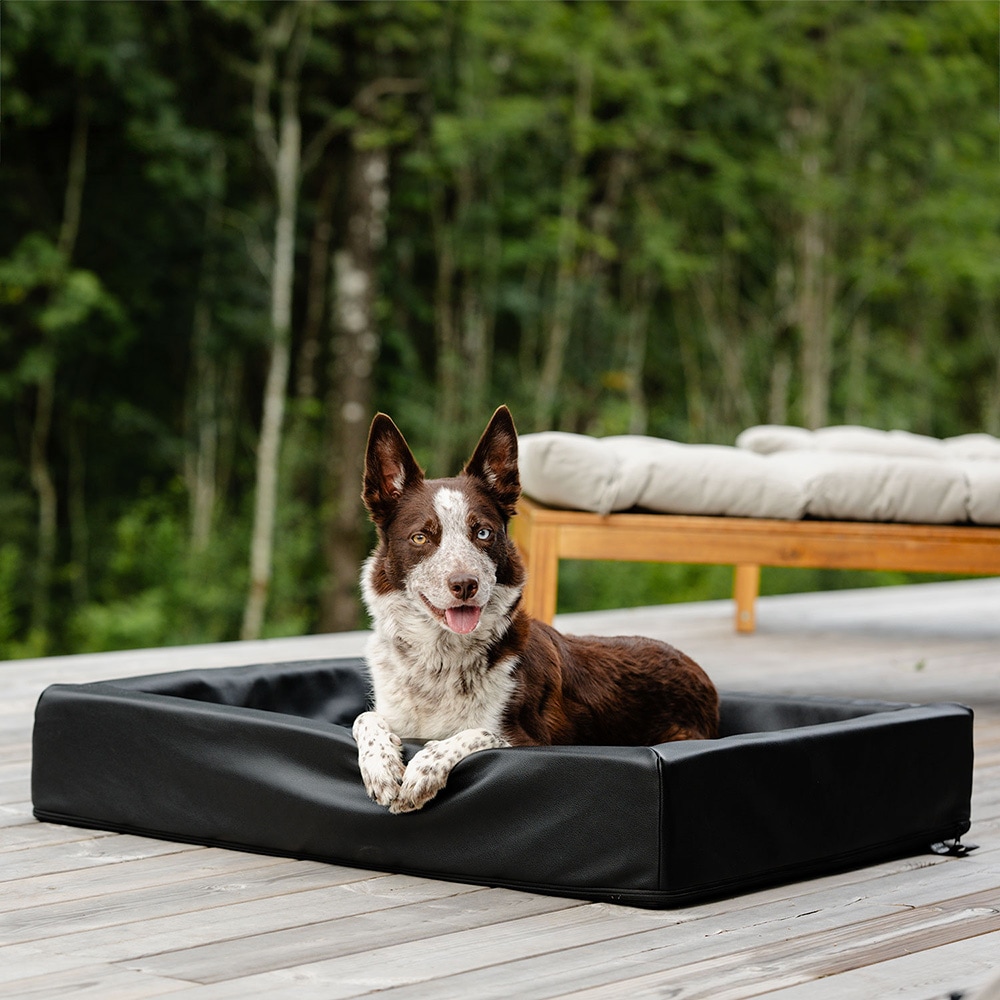Hundekurv Bilbo traxx®