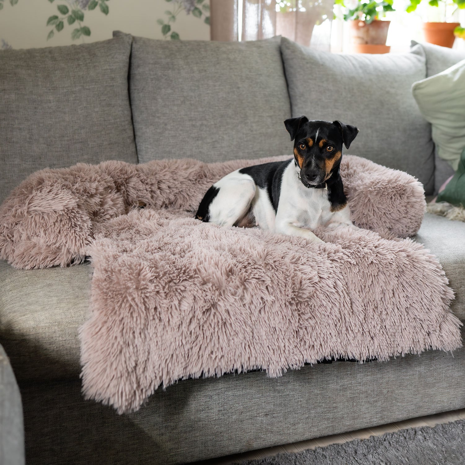 Hundeseng  Pella traxx®
