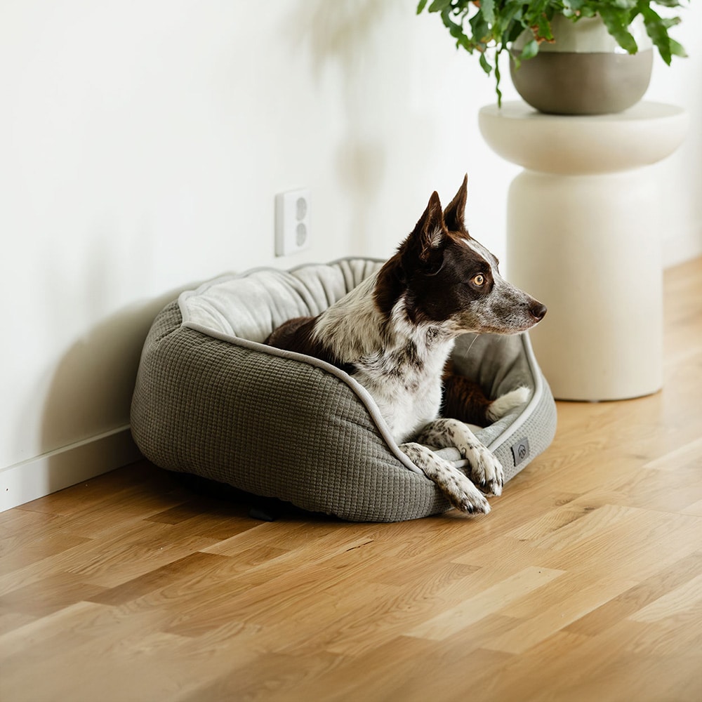 Hundekurv  Traxx Sejla Hundbädd traxx®