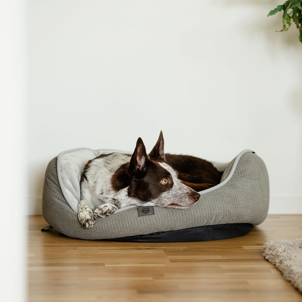 Hundekurv  Traxx Sejla Hundbädd traxx®